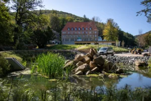 Einladende Außenanlagen für Hotels und Gastronomiebetriebe.