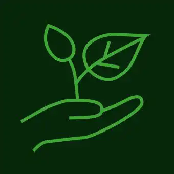 Umsetzung von Gartenprojekten mit Qualität, Präzision und Erfahrung.