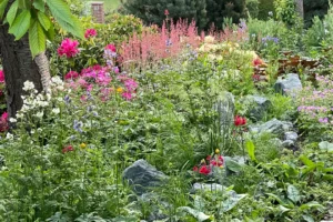 Kreativ geplante Gartenbereiche für mehr Lebensqualität und entspannte Momente im Freien.