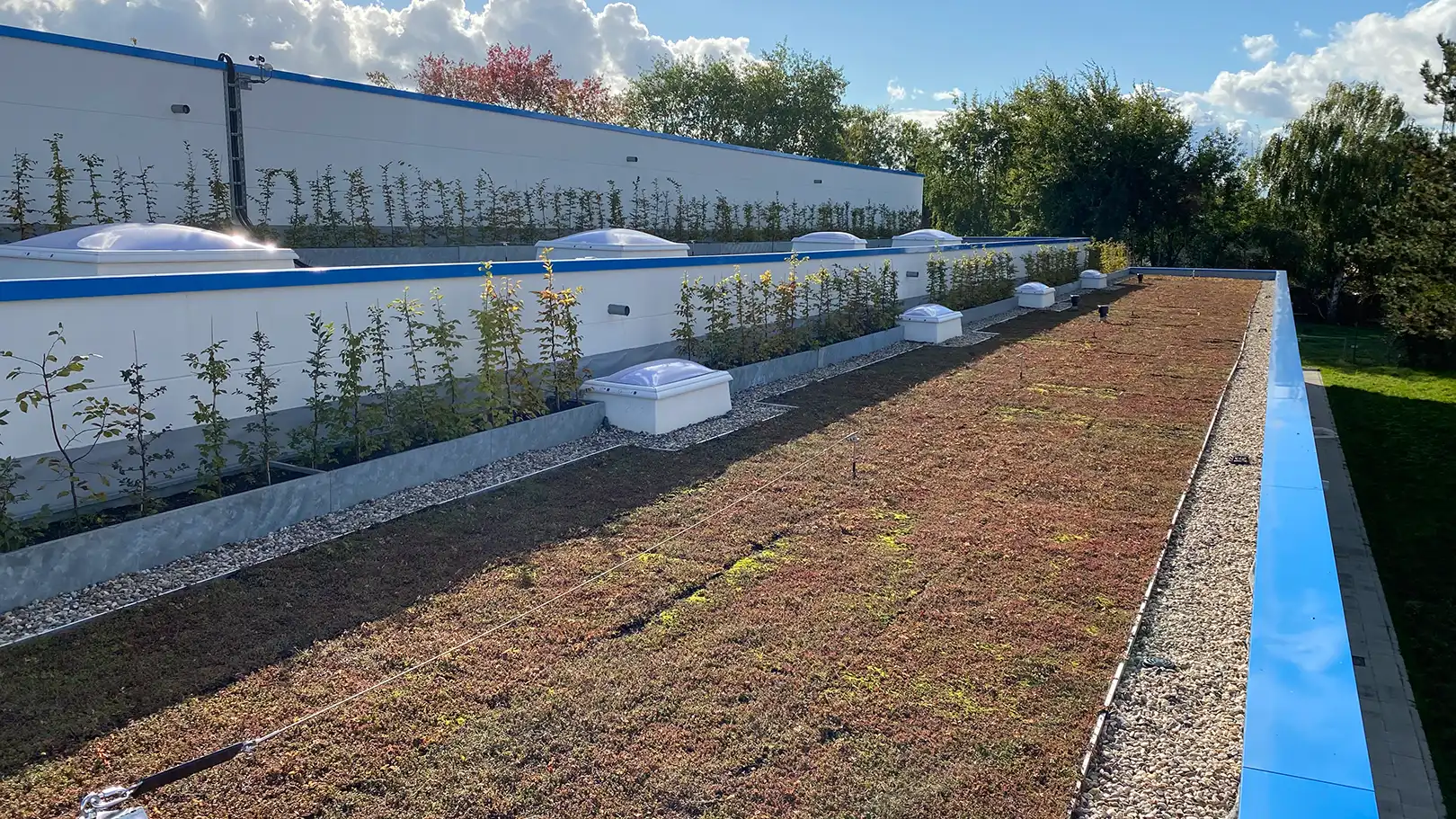 Moderne Dachbegrünungskonzepte mit Pflanzenvielfalt für nachhaltige Bauprojekte.