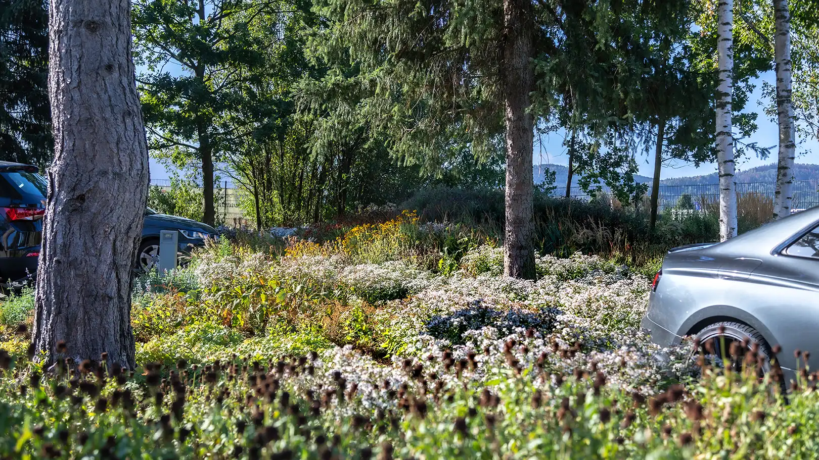 Insektenfreundliche Staudenlandschaften für naturnahe und abwechslungsreiche Außenbereiche.