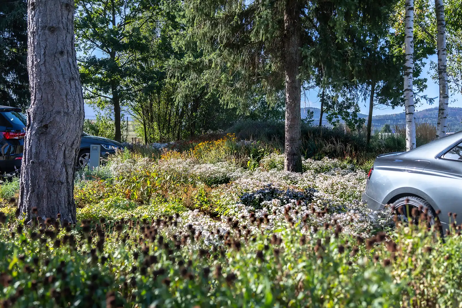 Professionell geplante Staudenlandschaften für nachhaltige und blühende Gartenanlagen.